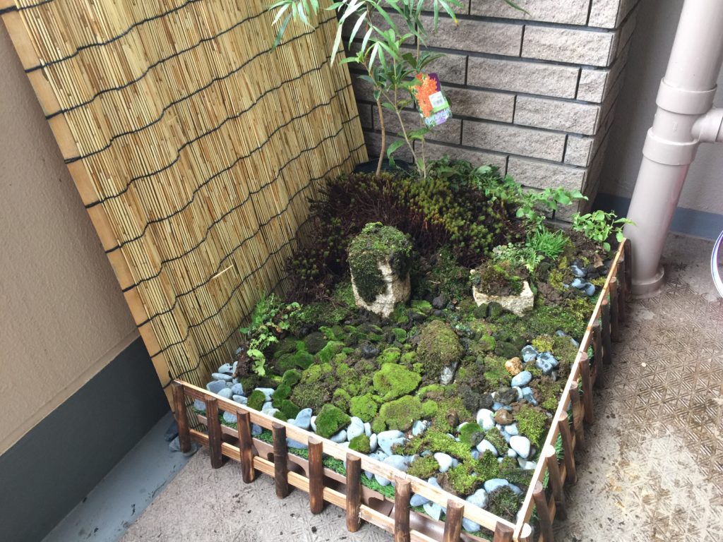 日本庭園 坪庭 苔庭 をマンションのテラスに作る方法 アカハライモリちゃんねる